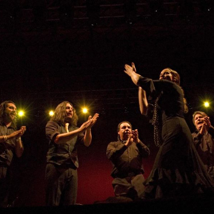 CUADRO FLAMENCO EN ARAGÓN | ZARAGOZA, TERUEL, HUESCA, NAVARRA