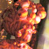 audiovisualartistas